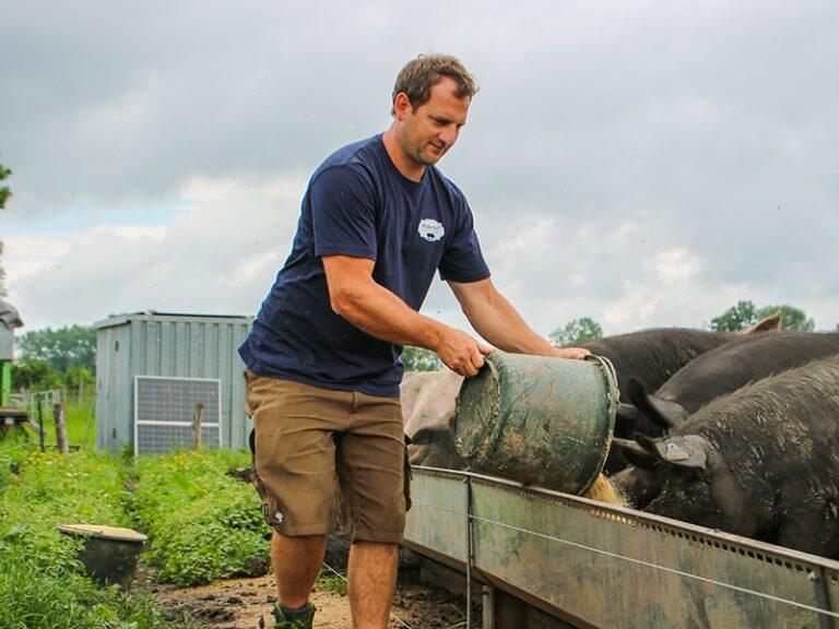 Schweinehaltung Müllerhof